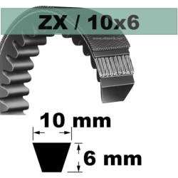 COURROIE TRAPEZOIDALE CRANTEE ZX33