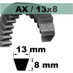 COURROIE TRAPEZOIDALE CRANTEE AX24